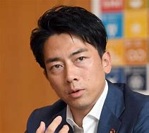 進次郎氏の米対策は純然たる選挙対策